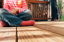 Photo of an iron gate being painted.